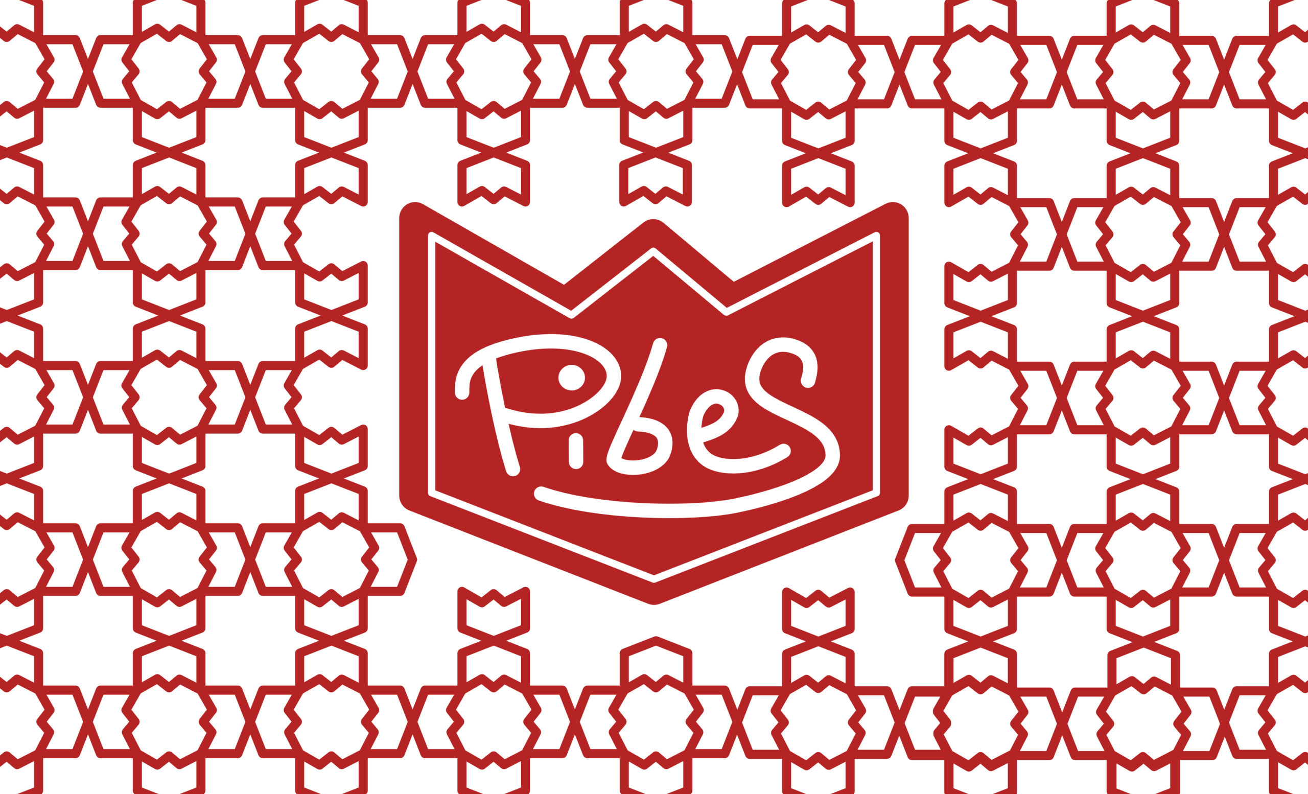 Proyecto 5, Rebranding Pibes